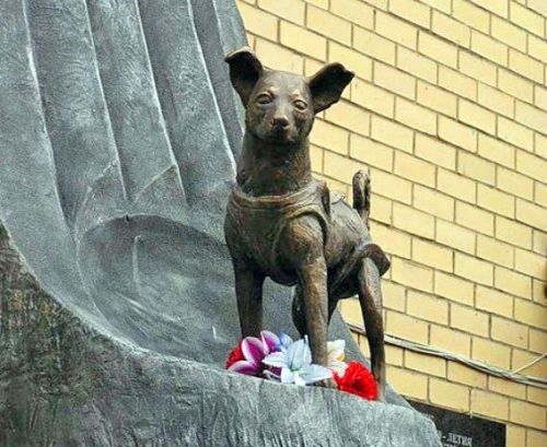 День Лайки...