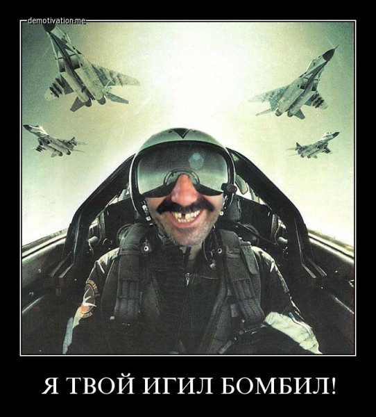 Не тыкай в медведя палкой