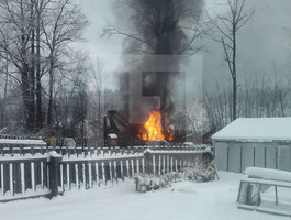 При падении самолёта Ан-2 в Амурской области погиб пилот