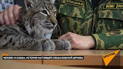 Человек и кошка: история настоящей спецназовской дружбы