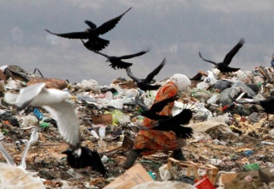 Американцы ежегодно выбрасывают продукты на $165 млрд