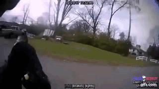 Полицейский случайно вырубил напарника шокером во время задержания (видео)