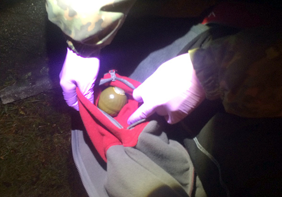 Бытовуха: В Хмельницком пьяный хрюмберг угрожал гранатой пассажирам автобуса