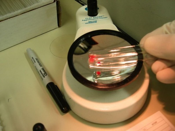 WADA поддержало решение МОК о пожизненной дисквалификации двух лыжников из России