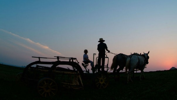 Редкая генетическая мутация оказалась "источником молодости"