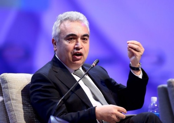 МЭА всыпало перцу Германии и США