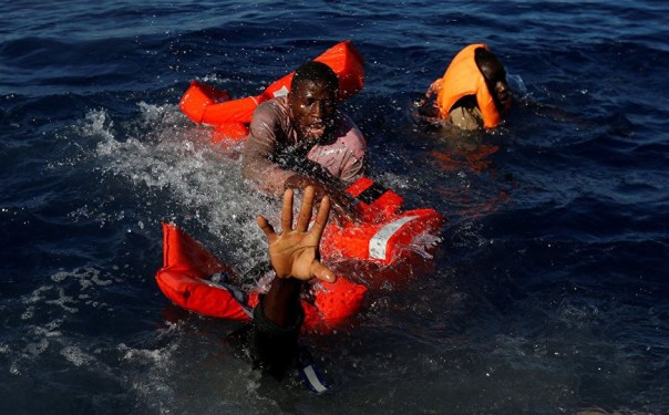 Стая акул растерзала десятки мигрантов, тонущих в Средиземном море