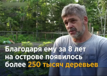 Житель Сахалина за свои деньги посадил 250 тысяч деревьев! Но местные власти отобрали его участок, где он выращивал саженцы