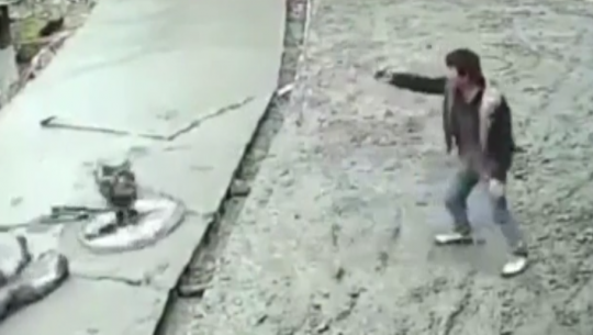 В Китае сняли на видео "восстание машин"