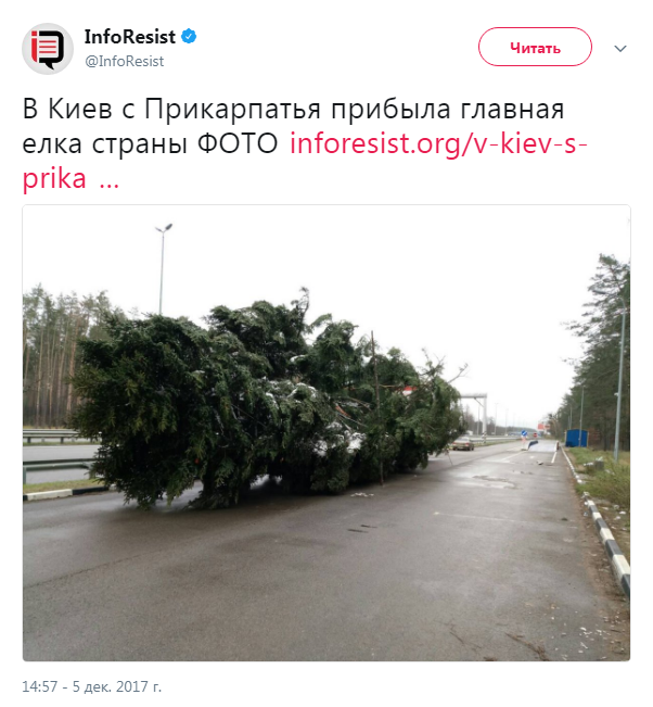 Ёлка курильщика. "Новогодняя красавица" в центре Киева облысела за один день