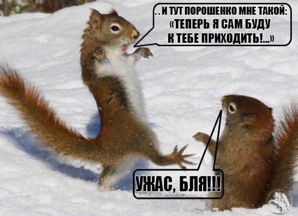 Кармическая чурчхела несудьбы