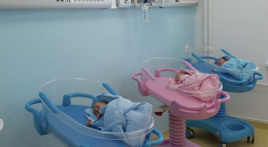 В России могут принять новые меры по стимулированию рождаемости