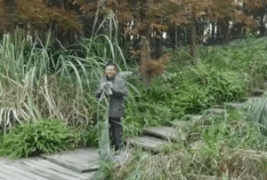 Автора видео про плащ-невидимку, которое стало вирусным, поймали на обмане