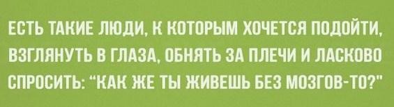 Как слить жизнь в унитаз (руководство для банкиров).