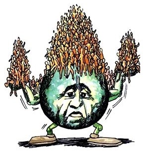 1 января население Земли составит 7 млрд 444 млн 443 тыс. 880 человек