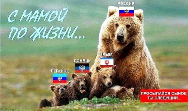 Бандерлоги делят шкуры неубитых мишек