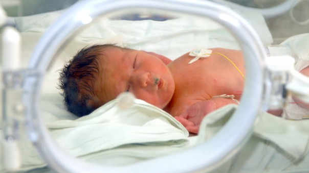 Палата №6. Не мышонок, не лягушка: В США трансгендер родил ребенка без пола