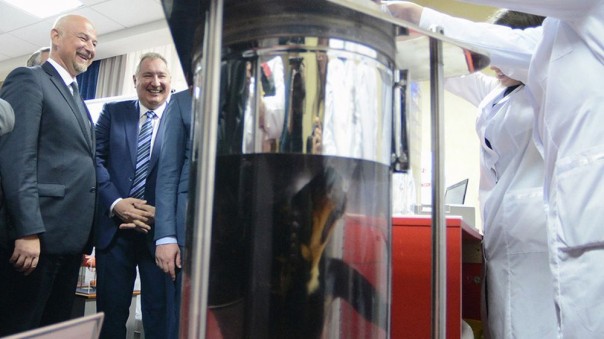 Рогозина раскритиковали в сети за "утопление" таксы