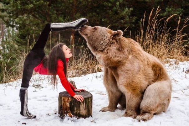 Не показывайте это Борису Джонсону и английским болейщикам: акробатические этюды на природе с медведем в Подмосковье