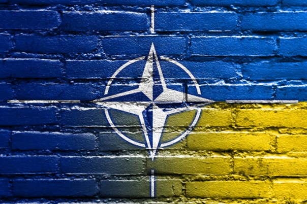 Украина идёт на обострение с Венгрией в НАТО