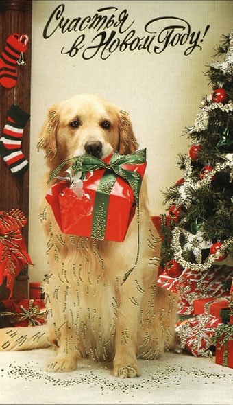 "Собачье" видеопоздравление от Минобороны РФ