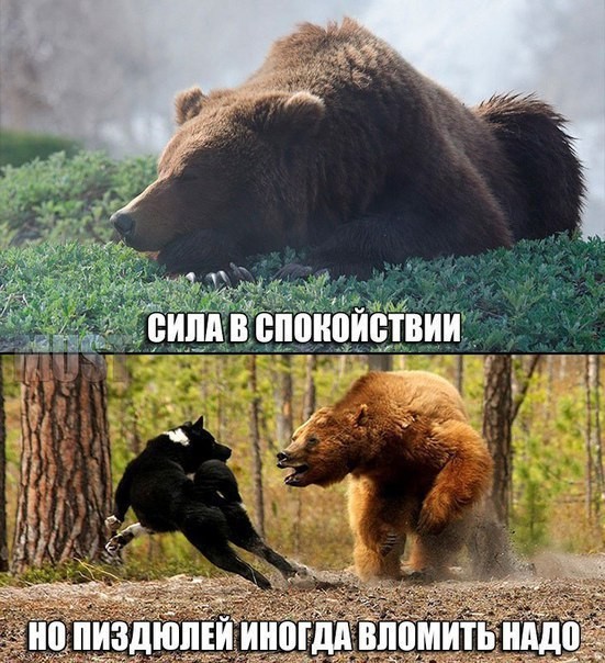 Битие определяет сознание. 18+