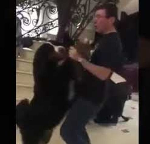 Собачий вальс. Генплокулол Юлий Луценко станцевал с псом Черчиллем