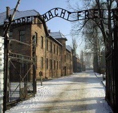 Одноразовый политический элемент