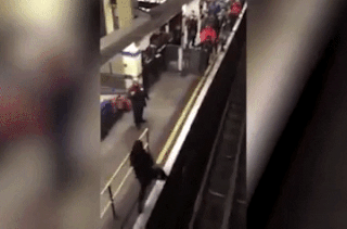 Четыре линии встали. Пассажирка уронила телефон в метро и пошла за ним в тоннель