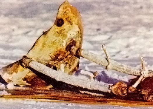 Страницы истории: ядерный реактор из космоса на голову империалистам | НЕФАКТ. Выпуск №92. «Салют-7»