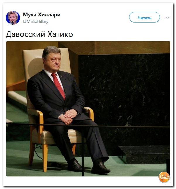 "Мыздобулы" в картинках. Смешных и не очень... 30.01.2018
