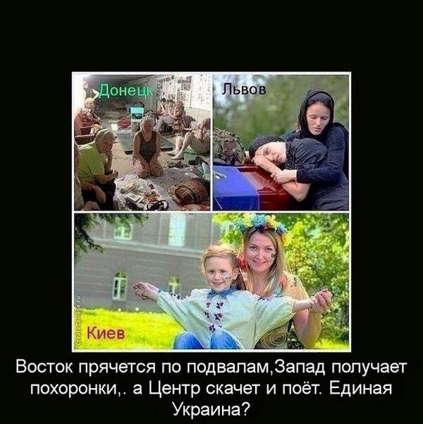 Хроника болота или Путешествие в подпрыгивающие края