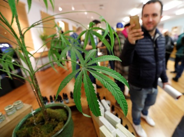 Это не советские очереди - это за коноплёй: В Калифорнии стоят огромные очереди за марихуаной