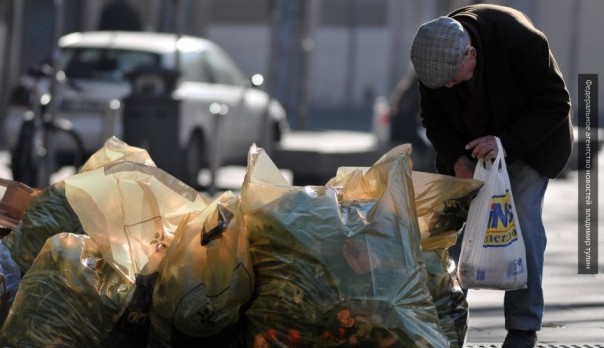 Крыса уличила поляков во лжи: в Украине нет проблем с бегством из страны