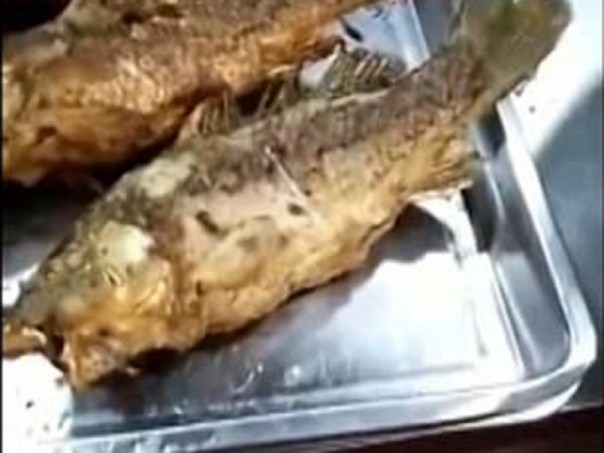 Видео с зажаренной "рыбой-зомби" вызвало споры в Сети