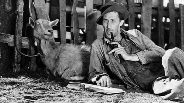 Гроздья безвизового гнева. Александр Зубченко