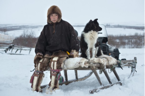 Ненецкая оленегонка: пост восхищения и обожания