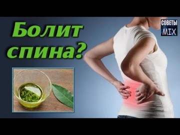 Лечение остеохондроза лавровым листом. Как избавиться от боли в спине народными средствами