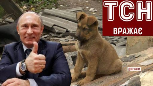 Россия-моська, сепаратисты-живодеры и циничные депутаты