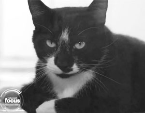 Грабитель Мо