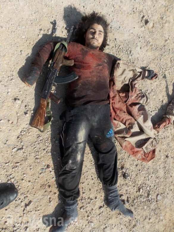 ВКС РФ наводят ужас: высокопоставленные командиры ИГ бегут