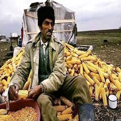 Молдавская версия БНР: уроки для Беларуси