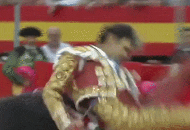 Разъярённый бык насадил матадора на рог (видео)