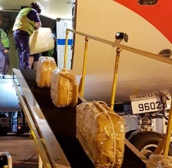 Чемодан с двойным дном: россиянин с 4 кг кокаина задержан в Буэнос-Айресе