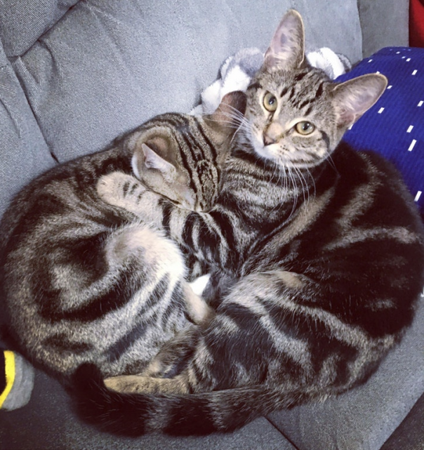 Зачем ты так...?