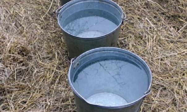 В Харьковской области с гепатитом А госпитализирован 41 житель. Люди заразились водой