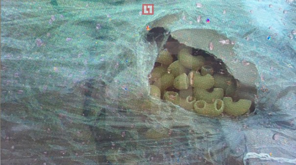 Отправленный в Донбасс гуманитарный груз от Грудинина оказался погрызен мышами