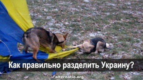 Как правильно разделить Украину?