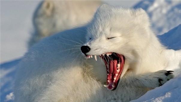 404 - время решения вопроса с ней пришло