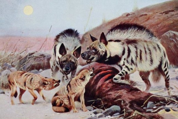 Александр Роджерс: Наша трагедия и «украинские патриоты»